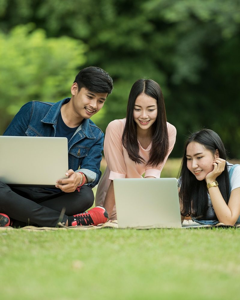 Students studying together on a campus lawn